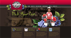 Desktop Screenshot of clyderiverberryfarm.com.au