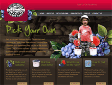 Tablet Screenshot of clyderiverberryfarm.com.au